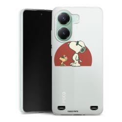 Carry Case Single Transparent