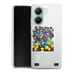 Carry Case Single Transparent