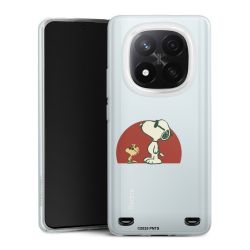 Carry Case Single Transparent