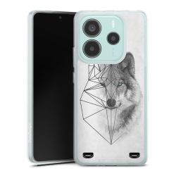 Carry Case Single Transparent