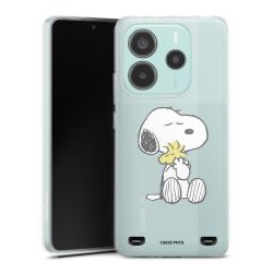 New Carry Case Hülle Transparent