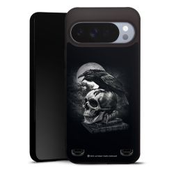 Poe's Raven