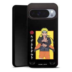 New Carry Case Hülle mattschwarz