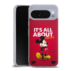 Carry Case Single Transparent