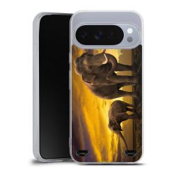 Carry Case Single Transparent