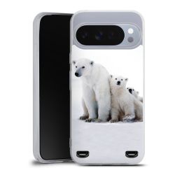 Carry Case Single Transparent