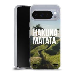 Carry Case Single Transparent