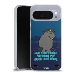 Carry Case Hülle Transparent ohne Band