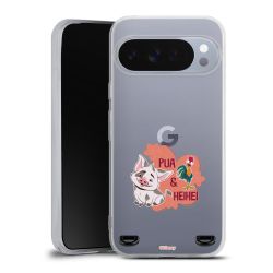 Carry Case Single Transparent