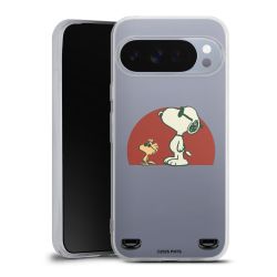 Carry Case Single Transparent