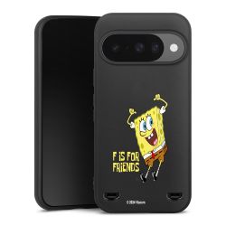 Premium Carry Case Single Matt black