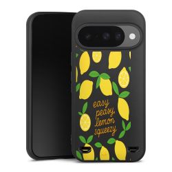 New Carry Case Hülle mattschwarz