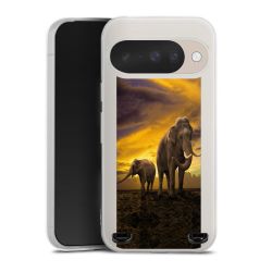 Carry Case Single Transparent