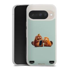 Carry Case Single Transparent