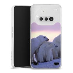 Carry Case Single Transparent