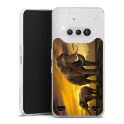 Carry Case Single Transparent