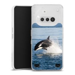 Carry Case Single Transparent