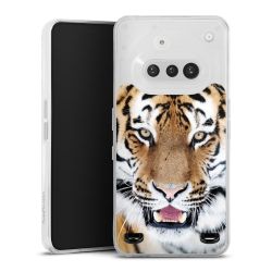 Carry Case Single Transparent