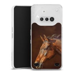 Carry Case Single Transparent