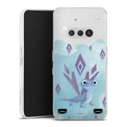 Carry Case Single Transparent