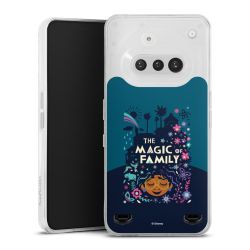 Carry Case Single Transparent