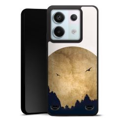 Twee vogels en de maan