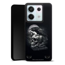 Poe's Raven