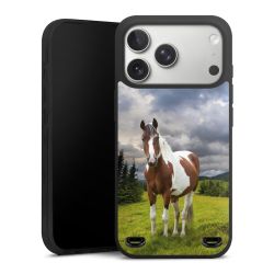 Premium Carry Case Single Matt black