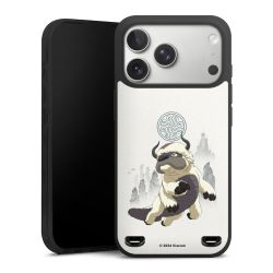 Premium Carry Case Single Matt black