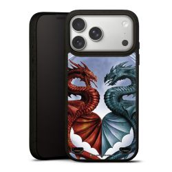 Organic Carry Case Hülle schwarz