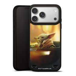 Organic Carry Case Hülle schwarz