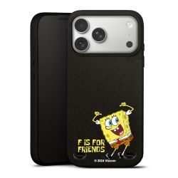 Organic Carry Case Hülle schwarz