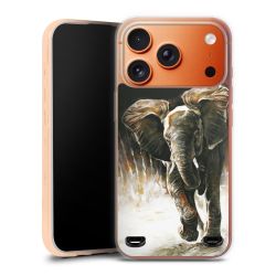 Carry Case Single Transparent