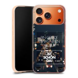 Carry Case Hülle Transparent ohne Band