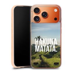 Carry Case Single Transparent