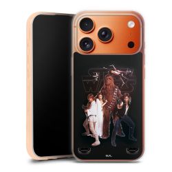 Carry Case Single Transparent