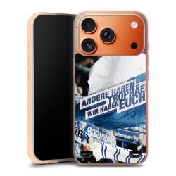 Carry Case Hülle Transparent ohne Band