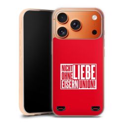 Carry Case Hülle Transparent ohne Band