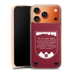 Carry Case Hülle Transparent ohne Band