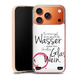 Carry Case Hülle Transparent ohne Band