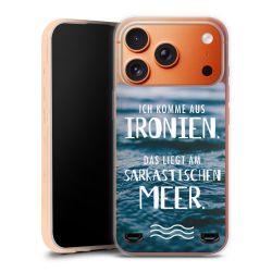 Carry Case Hülle Transparent ohne Band