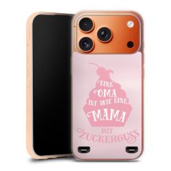 Carry Case Hülle Transparent ohne Band