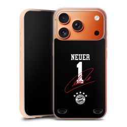 Carry Case Single Transparent