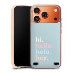 Carry Case Single Transparent