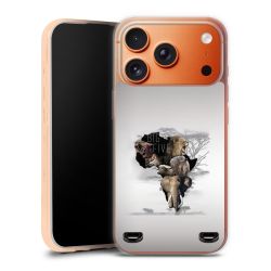 Carry Case Single Transparent