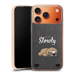 Carry Case Single Transparent