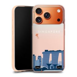 Carry Case Single Transparent