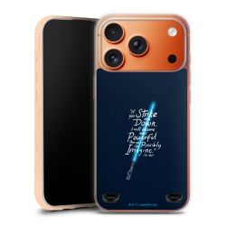 Carry Case Single Transparent