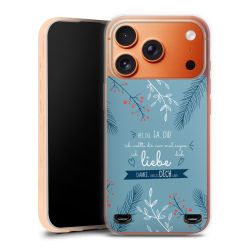 Carry Case Hülle Transparent ohne Band