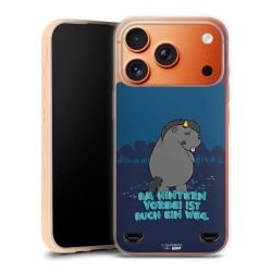 Carry Case Hülle Transparent ohne Band